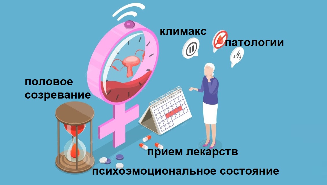 Диагностика нарушений цикла