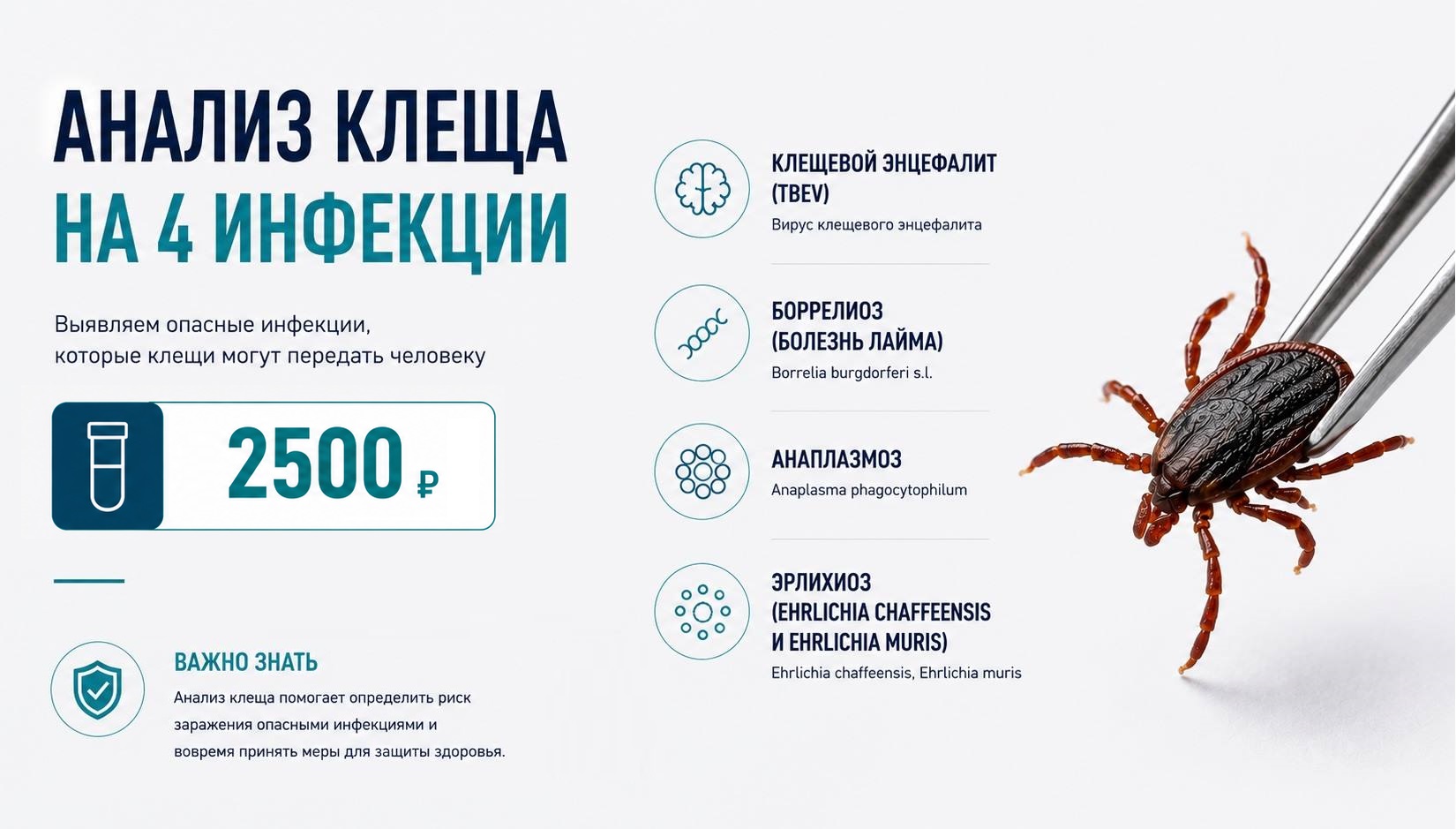 Акция Гистолаб — слайд 2